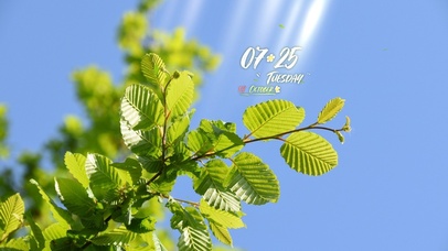 4k治愈护眼桌面