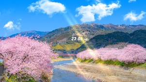 4K唯美治愈日系河流樱花