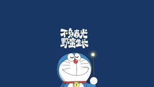 蓝胖子语录