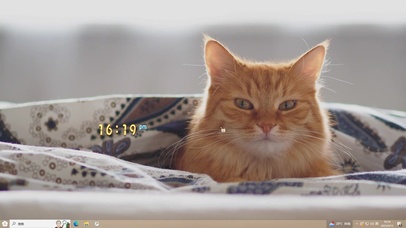 慵懒猫咪主题壁纸