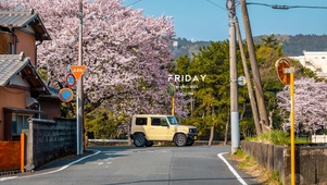 唯美治愈樱花街道（带真实时间）