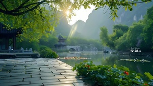 4k生态公园风景