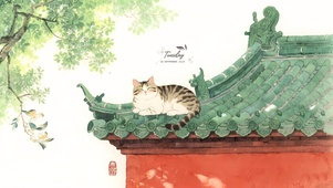 房顶的猫