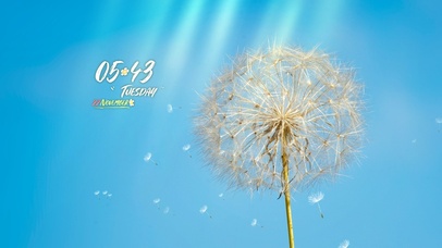 4k高清温暖阳光系列