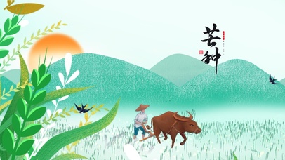 二十四节气-芒种