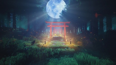 4K唯美治愈夜晚安静森林