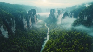 绿色护眼蜿蜒峡谷溪流