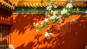 红墙梨花树