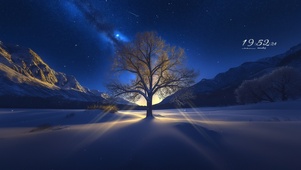 雪夜曙光树