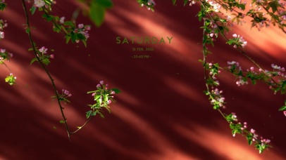 唯美治愈春天的气息