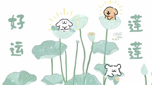 好运莲莲