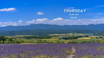 薰衣草花田（含时间）
