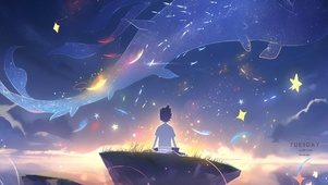 小王子D12