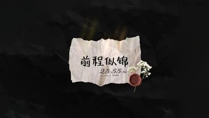 4K 前程似锦