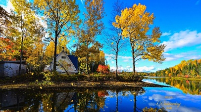 儿时凿壁偷了谁家的光~