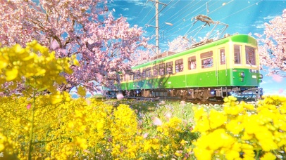 4K樱花列车日系唯美治愈风景