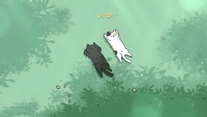 清新治愈！草地晒太阳的黑白喵