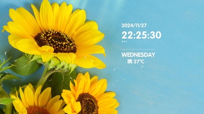 阳光灿烂向日葵