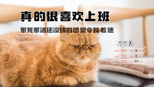 猫咪打工人桌面