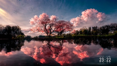樱花湖景