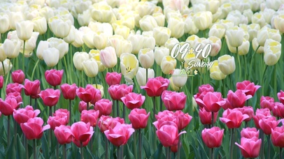 4k唯美风景桌面