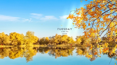 4k 秋季金色胡杨林