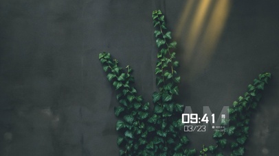 阳光下的爬山虎