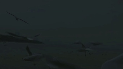 最想忘记的往往是最难忘记的