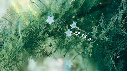 治愈唯美夏日绿叶花朵