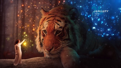 冬季黑夜森林老虎的明灯