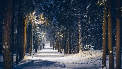 4k 治愈唯美冬季森林路灯小路