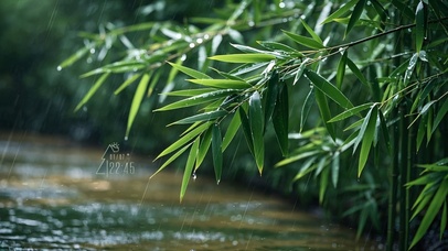 雨中绿竹