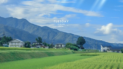 4K唯美乡村田园风景