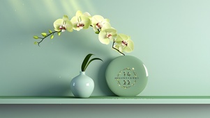 青花瓷小兰花