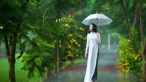 雨中美女