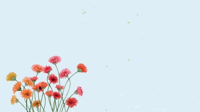 4k高清简约清新系列