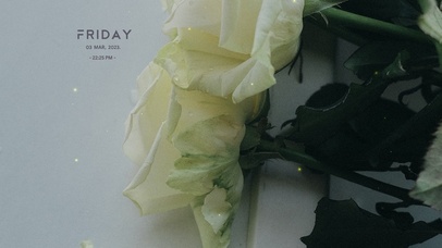 ins风格清新壁纸