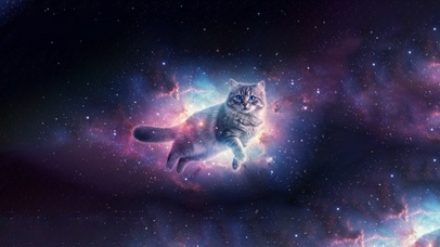 宇宙梦幻猫咪