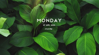 简约系4k清新绿植壁纸