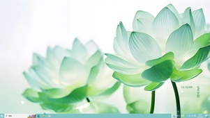 4K清新绿色莲花