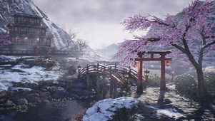 樱雪纷飞