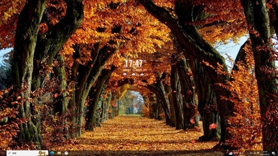 枫叶飘零主题壁纸