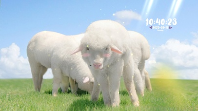 治愈超萌小羊小清新