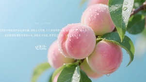 小清新水蜜桃