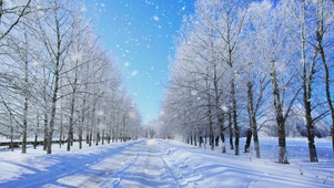 冬天下雪