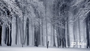 雪国森林