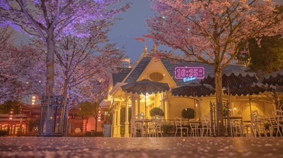 唯美治愈樱花街道2（真实时间）