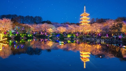 治愈唯美樱花灯光湖