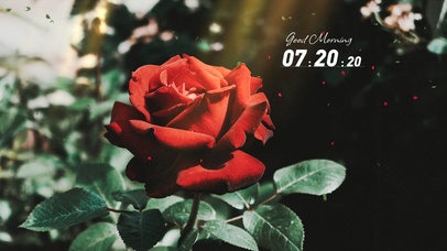 4k阳光唯美桌面