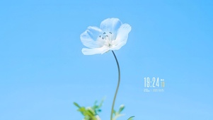 治愈清新小花朵